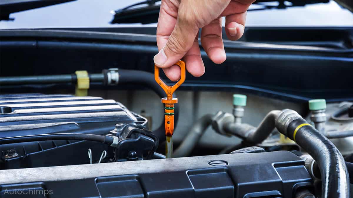 Exploring an Important Maintenance Method: TLC for Cars