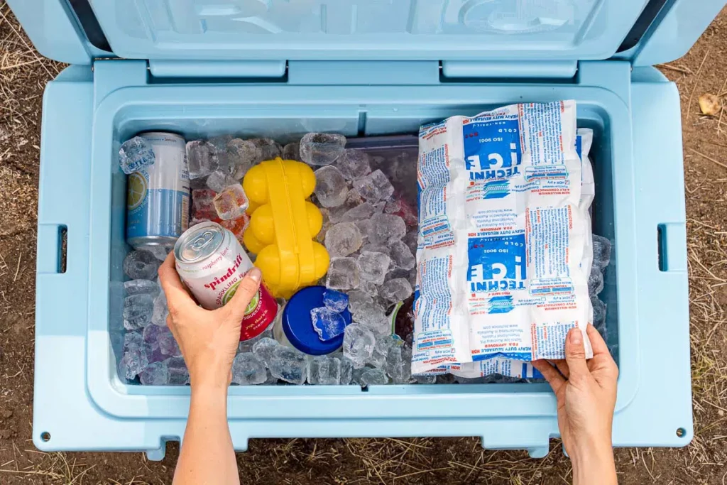 Cooler in the Car