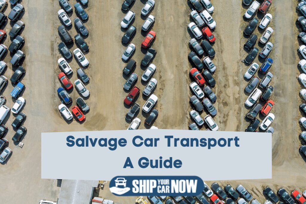 Salvage the Car